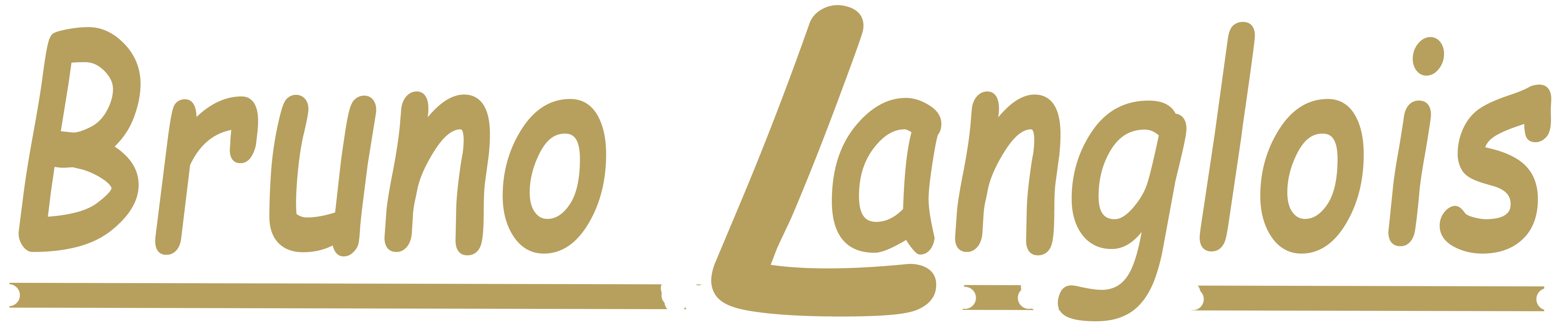 Logo Bruno Langlois